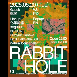 RABBIT HOLE
