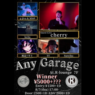 Any Garage